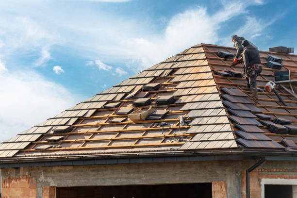 Best Roof Repair  in Wyanet, IL