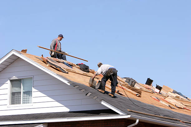 Best Rubber Roofing (EPDM, TPO)  in Wyanet, IL